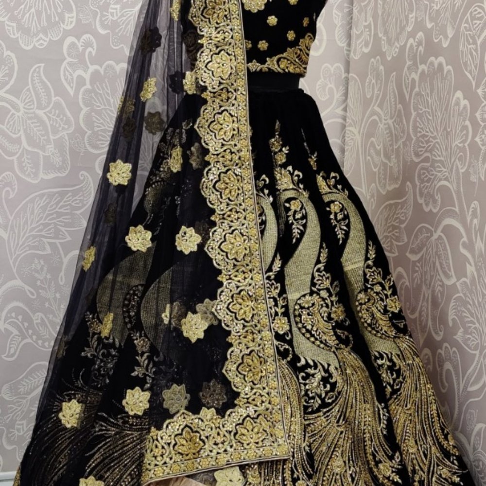 lehengha - Picture 2 of 5